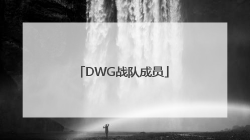 「DWG战队成员」dwg战队成员2021